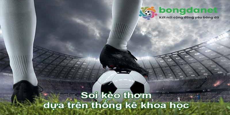 Các tính năng nổi bật của bongdanet không thể bỏ qua