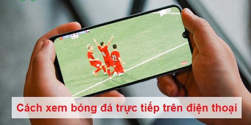 Xem bóng đá trực tiếp kèo nhà cái Những lưu ý khi xem bóng đá