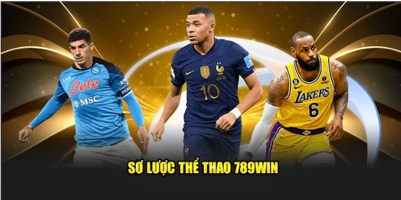 Tại sao 789Win được nhiều người chơi lựa chọn?